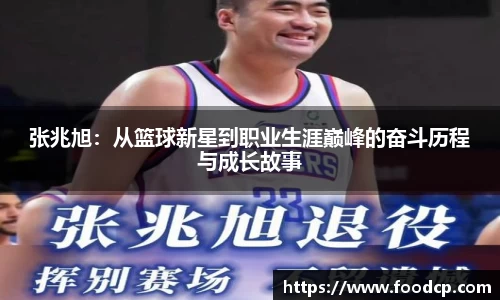 jjb竞技宝在线登录