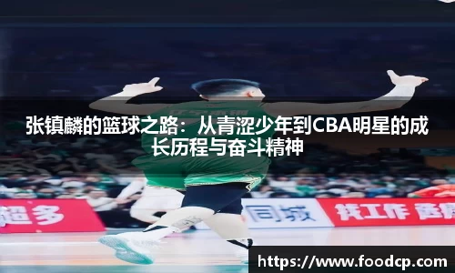 jjb竞技宝手机最新版本